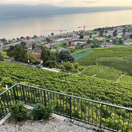 Renovated With Panoramic View Appartamento Cully
