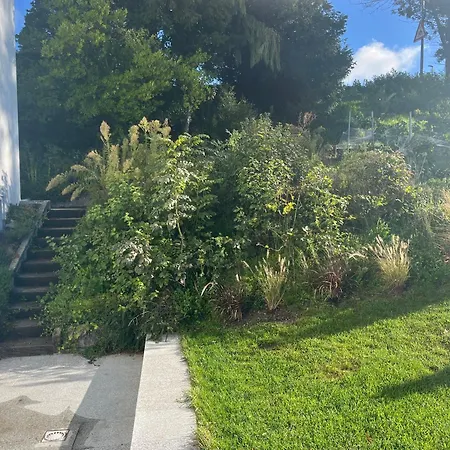 Apartamento Renovated With Panoramic View