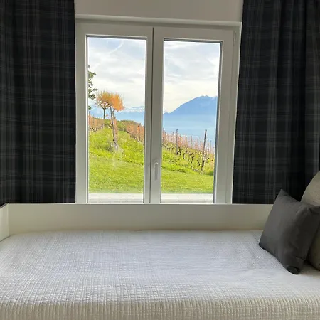 Renovated With Panoramic View Appartement