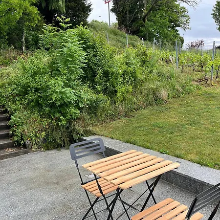 Renovated With Panoramic View * Cully