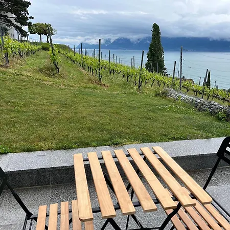 Renovated With Panoramic View Appartamento *
