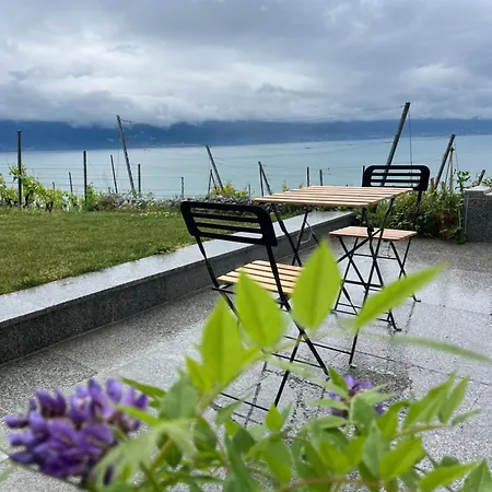 Appartamento Renovated With Panoramic View Cully