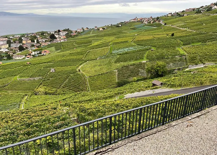 Renovated With Panoramic View