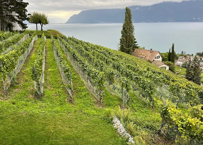 Appartamento Renovated With Panoramic View