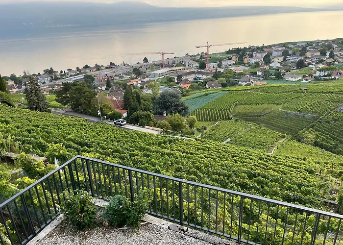 Renovated With Panoramic View Apartamento Cully