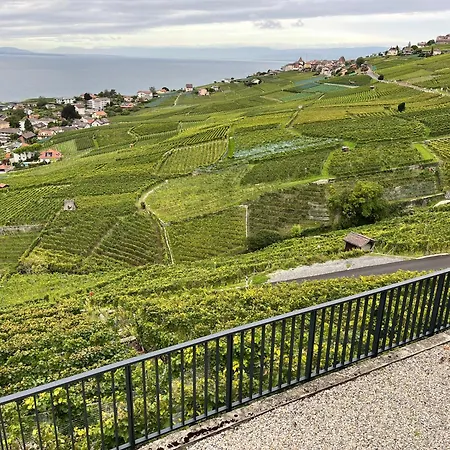 Renovated With Panoramic View